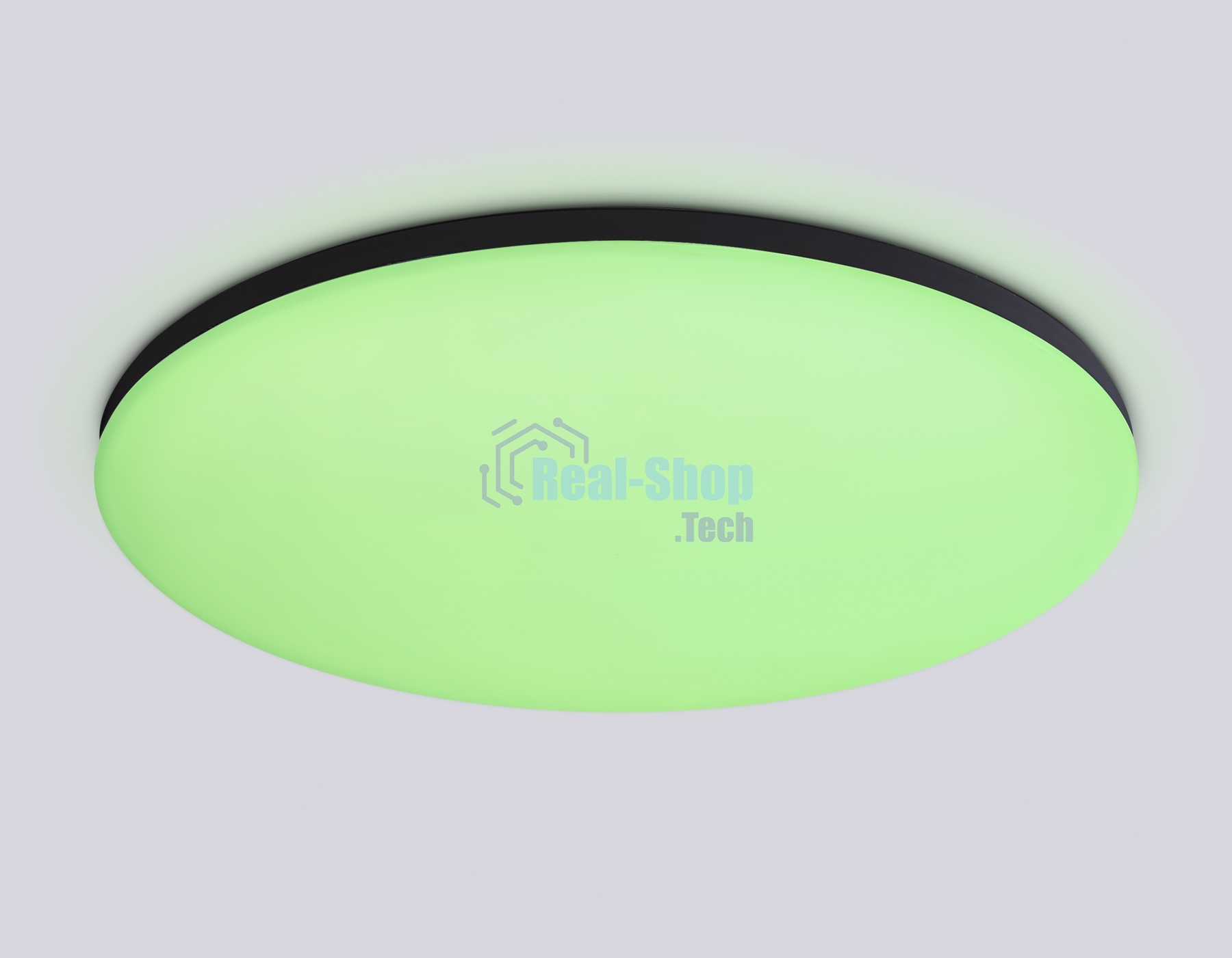 Умный светодиодный светильник FZ2005 BK черный IP54 25W 3000K-6500K+RGB Wi-Fi Алиса/Tuya/Smart Home/Alexa D370*55 (ПДУ ИК)