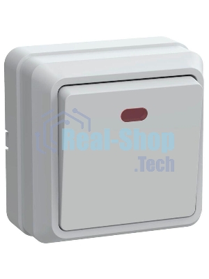Выключатель 1-кл. ОП ОКТАВА с инд. 10А IP20 ВС20-1-1-ОБ белый ИЭК EVO11-K01-10-DC