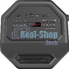 Портативная акустика Defender Rage 50 Вт Light/BT/FM/USB/LED/TWS черный