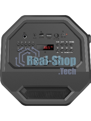 Портативная акустика Defender Rage 50 Вт Light/BT/FM/USB/LED/TWS черный