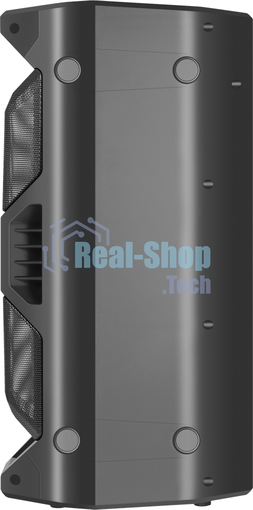 Портативная акустика Defender Rage 50 Вт Light/BT/FM/USB/LED/TWS черный