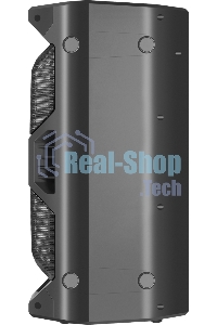 Портативная акустика Defender Rage 50 Вт Light/BT/FM/USB/LED/TWS черный