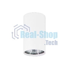Светильник Ambrella light TN213133 WH белый GU10 D60*90