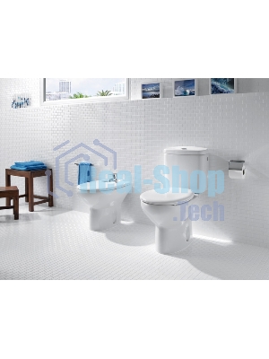 Сиденье ROCA VICTORIA ZRU8013900  металлические петли дюропласт