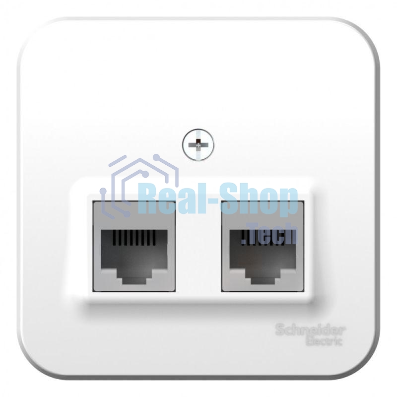 Розетка компьютерная 2-м ОП BLANCA RJ45 кат.5e изол. пласт. бел. SchE BLNIA045451
