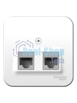 Розетка компьютерная 2-м ОП BLANCA RJ45 кат.5e изол. пласт. бел. SchE BLNIA045451