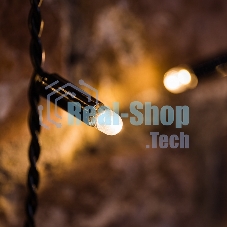 Гирлянда светодиодная Neon-night 