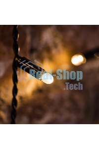 Гирлянда светодиодная Neon-night 