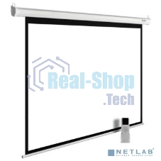 Экран Cactus 150x240 см MotoExpert CS-PSME-240x150-WT 16:10 настенно-потолочный рулонный белый (моторизованный привод)
