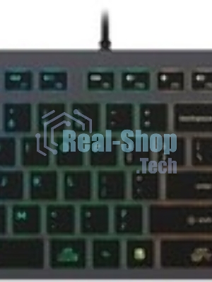 Клавиатура A4Tech Fstyler FX60H проводная, USB Type-A, серый
