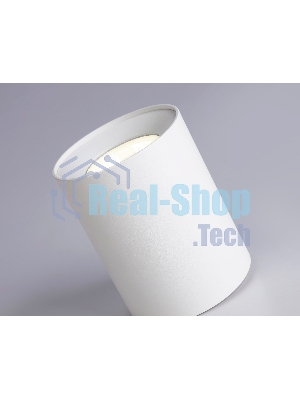 Светильник Ambrella light TN213136 WH белый GU10 max 12W D80*100