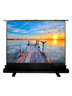 Экран Cactus 113x200 см FloorExpert CS-PSFLE-200X113 16:9 напольный рулонный