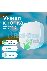 Умная кнопка СБЕР/SBER (SBDV-00032) 