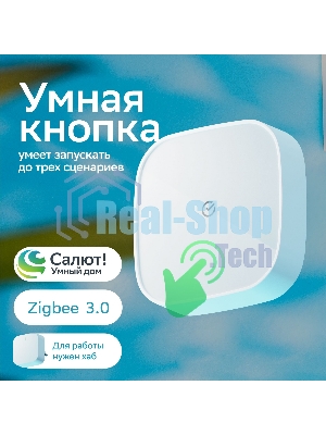 Умная кнопка СБЕР/SBER (SBDV-00032) 