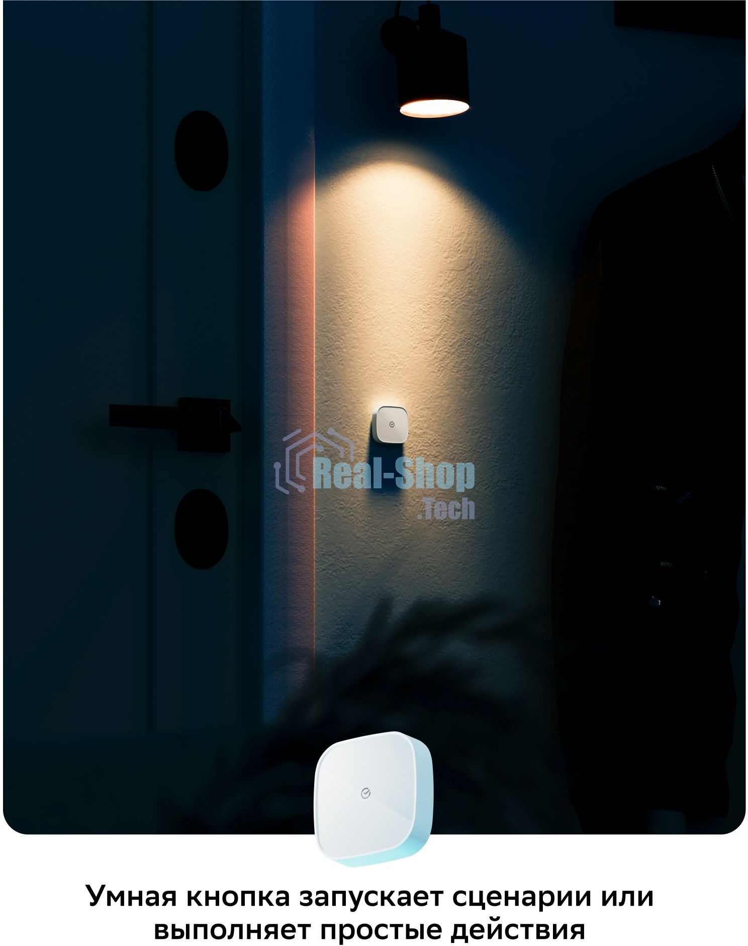 Умная кнопка СБЕР/SBER (SBDV-00032) 