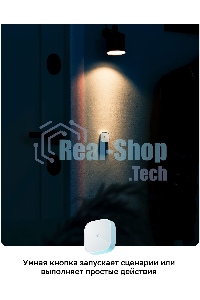 Умная кнопка СБЕР/SBER (SBDV-00032) 