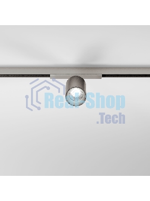 Трековый светильник 10W 3000K (никель) 85525/01 система Лайн 85525/01