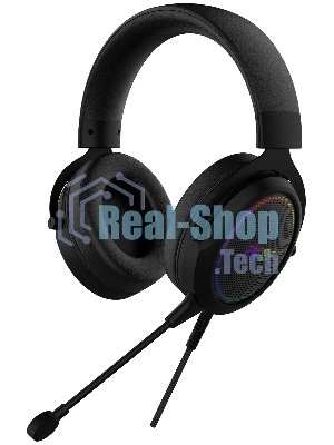 Гарнитура проводная с микрофоном Acer AHW120 черный мониторные оголовье (ZL.HDSCC.01C)