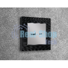 Лицевая панель ALFA (Серебро глянец) для розетки 2USB тип A+C QUANT AP4110