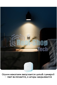 Умная кнопка СБЕР/SBER (SBDV-00032) 