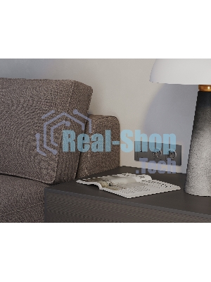 Комплект механизма розетки ALFA Антрацит серый 2USB A+C 20W (быстрая зарядка) QUANT (AP6610, VM177) MA661010