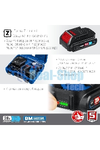 Бесщеточный гайковерт ЗУБР Профессионал GB-250-22, 20В, 2 АКБ (2Ач), в кейсе