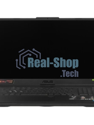 Ноутбук ASUS TUF F17 FX707VUR-HX225 серый 90NR0CS5-M00E30 17.3