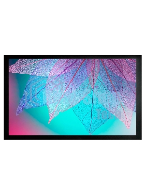 Экран на раме Cactus 124x220 см FrameExpert CS-PSFRE-220X124 16:9 настенный натяжной