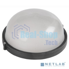 Светильник IEK 100Вт черный (LNPP0-1101-1-100-K02)