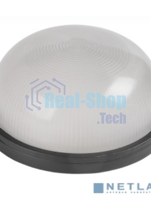 Светильник IEK 100Вт черный (LNPP0-1101-1-100-K02)