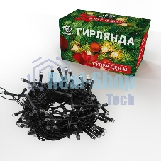 Гирлянда светодиодная Neon-night универсальная Уличная 100 LED белые 10 метров с контроллером