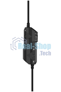 Гарнитура проводная с микрофоном Acer AHW120 черный мониторные оголовье (ZL.HDSCC.01C)