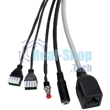 Видеокамера IP D-Link DCS-7110/UPA/B1A