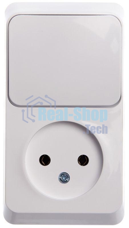 Блок ОП Этюд (1-м розетка без заземления + 1-кл. выкл.) бел. SchE