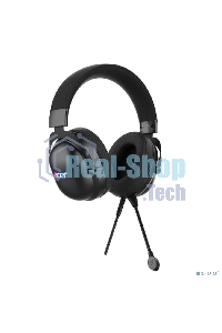 Гарнитура проводная с микрофоном Acer AHW122 черный 2.1м мониторные USB оголовье (ZL.HDSCC.01U)