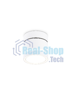 Светильник Ambrella light TA1444 WH/FR белый/белый матовый GX53 max 12W D85*90