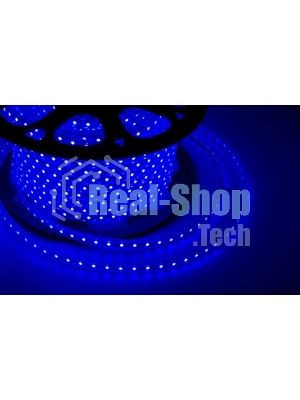 Лента светодиодная Neon-night 220 В, 10х7 мм, IP67, SMD 2835, 60 LED/m, цвет свечения синий, бухта 100 м