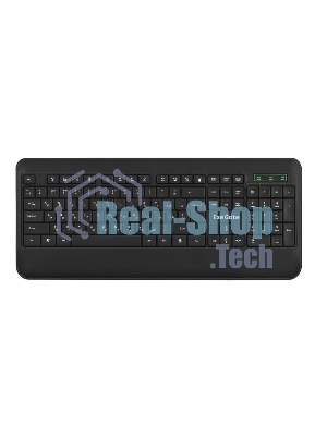 Клавиатура проводная ExeGate Professional Standard LY-E5500M, USB, черный