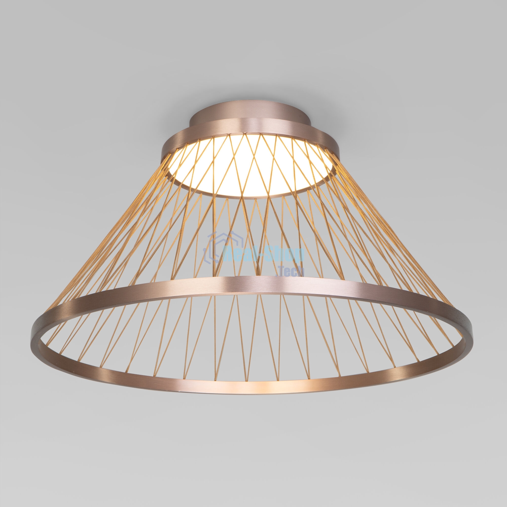 40019/1 LED / потолочный светильник / коричневый