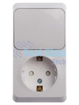 Блок Schneider-electric ЭТЮД О/У: Розетка с заземл. со шт. + Выключатель 1-клавиш., белый,