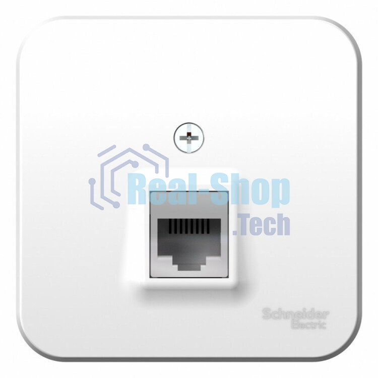 Розетка компьютерная ОП Blanca RJ45 кат.5e изол. пласт. бел. SchE BLNIA045001