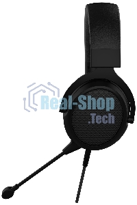 Гарнитура проводная с микрофоном Acer AHW120 черный мониторные оголовье (ZL.HDSCC.01C)