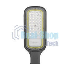 Светильник светодиодный консольный Rexant ДКУ 03-30-5000К-Ш-C IP65 черный