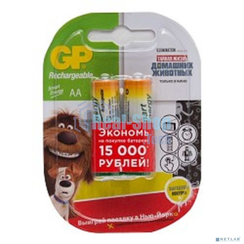 Аккумулятор GP Smart Energy 100AAHCSV AA NiMH 1000mAh (2шт)