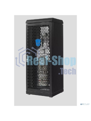 Шкаф сувенирный ЦМО ШТК-СП-С-8.1.1-9005, серверный