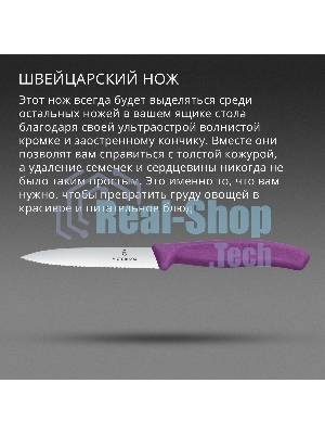 Нож кухонный Victorinox Swiss Classic (6.7735.C1) для чистки овощей и фруктов лезв. 100 мм серрейт. заточка пурпурный