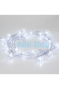 Гирлянда светодиодная Neon-night 