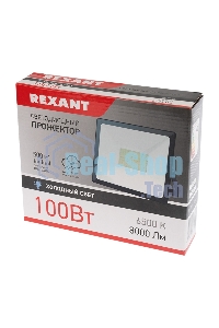 Прожектор светодиодный Rexant 605-005 100 Вт 200–260В IP65 8000 лм 6500 K холодный свет
