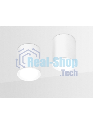 Светильник Ambrella light TN215 WH/S белый/песок GU5.3 D56*70