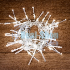 Гирлянда светодиодная Neon-night 